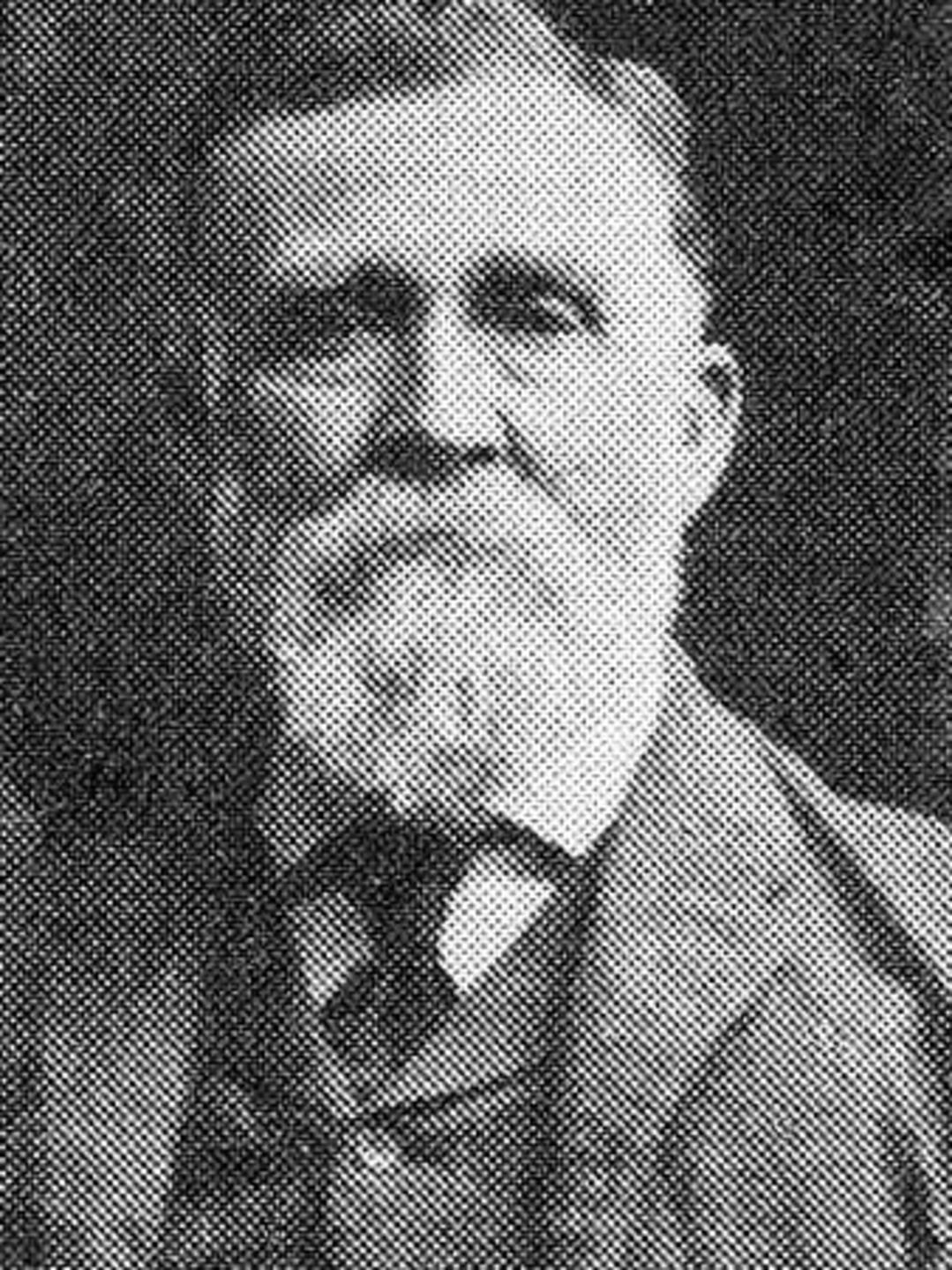 Levi Naylor (1839 - 1913)